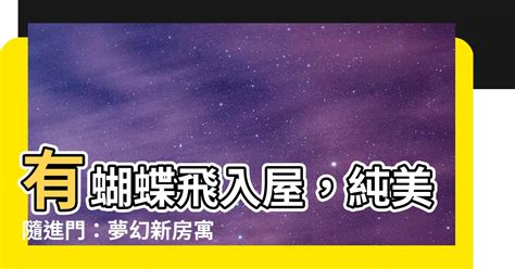 小鳥入屋|【有鳥飛進家裏】小鳥光臨我家！有鳥飛進屋裡的吉凶。